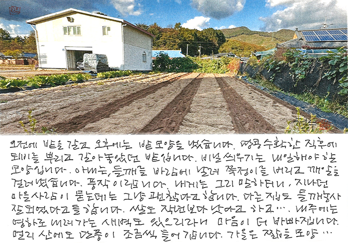 - 가을은 짧을 모양...