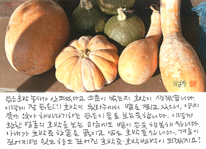 - 마음에도 볕이 든 듯 ...