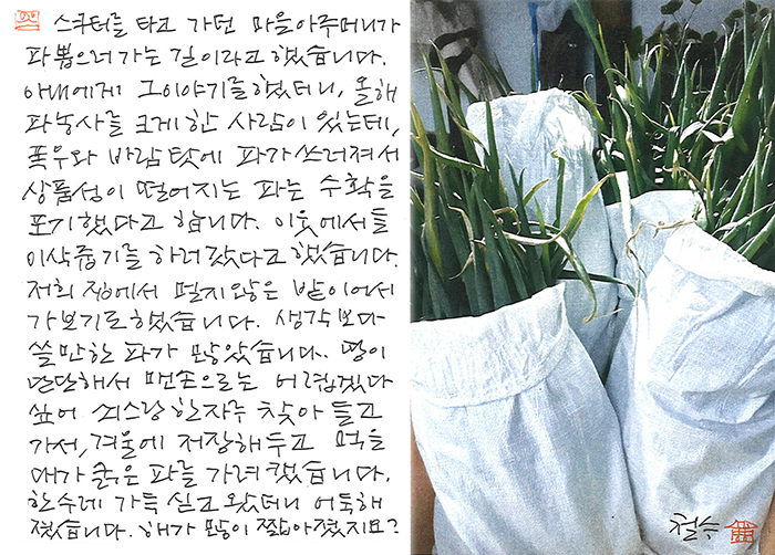 - 대파 이삭줍기...