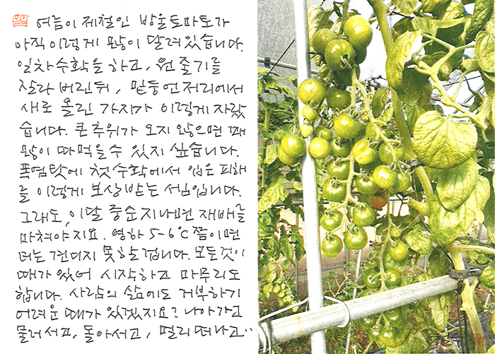 - 모든 것이 때가 있어...