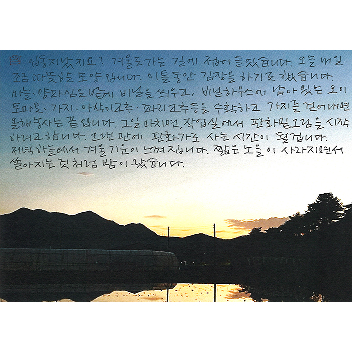 -쏟아지듯 밤이 왔습니다.