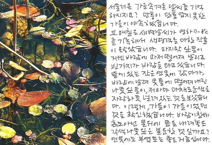 - 이렇게,가을이 가을이었던 것을...