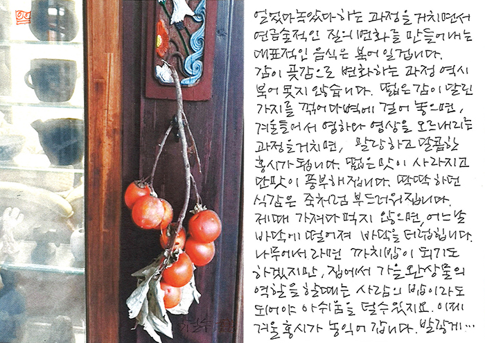 - 겨울 홍시가 농익어 갑니다.