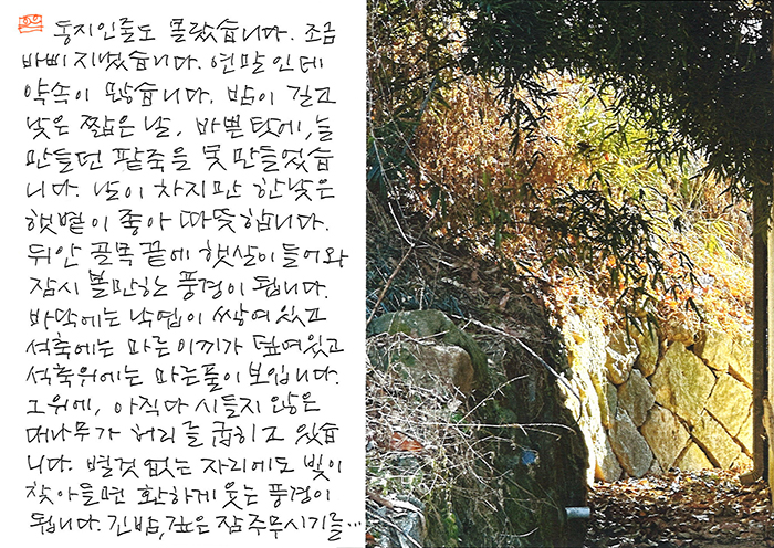 - 긴 밤, 깊은 잠 주무시기를...