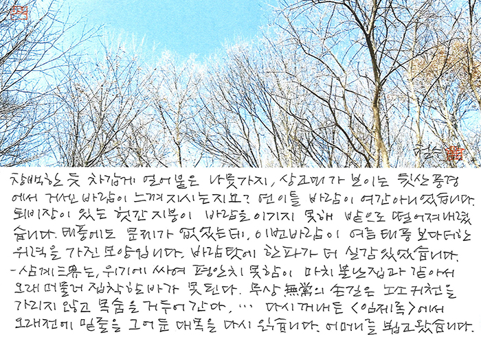 - 창백한 듯 차갑게 얼어붙은...