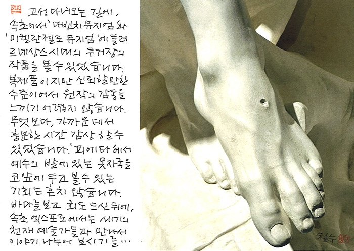 - 바다를 보고,  회도 드신 뒤에...