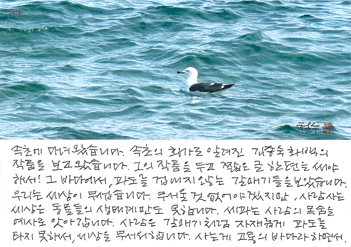 - 파도를 겁내지 않는...