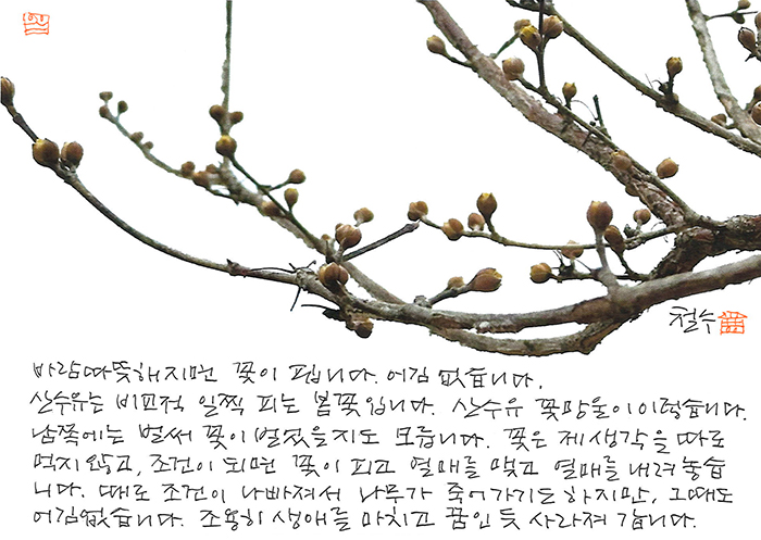 - 바람 따뜻해지면 꽃이...