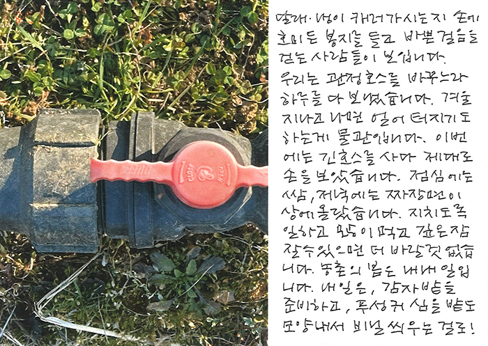 - 농촌에서 봄은, 내내 일...