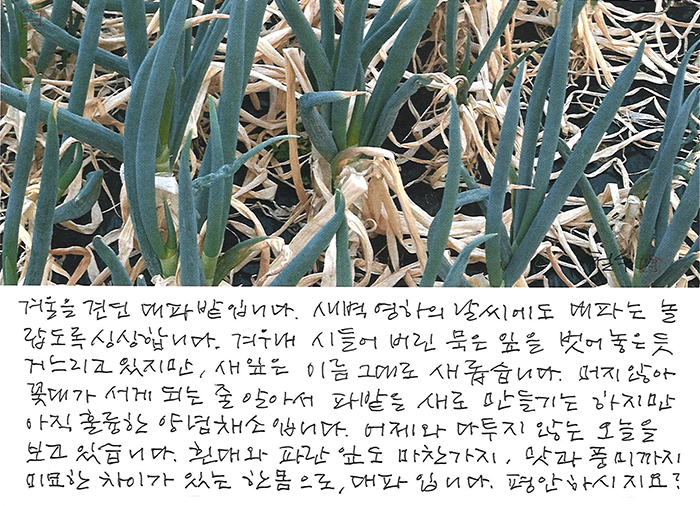 - 평안하시지요?