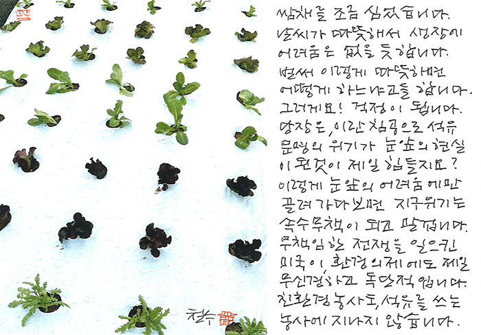 - 벌써 이렇게 따뜻하면...