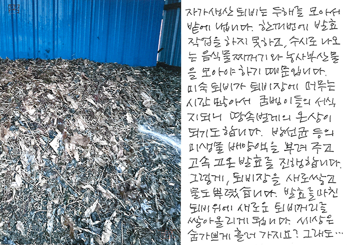 - 퇴비감을 새로 쌓고...