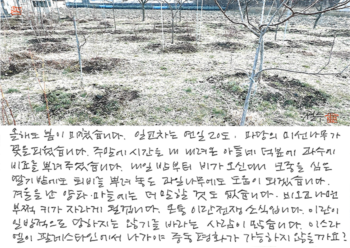 - 올해도 봄이 미쳤습니다.