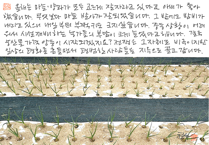 - 전쟁은 그 자체로 비극이지만...