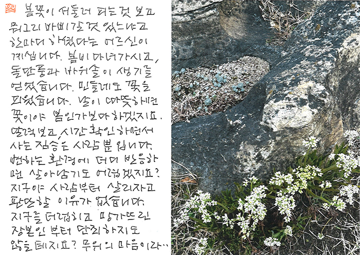 - 꽃이야,  봄인가 보다 ...