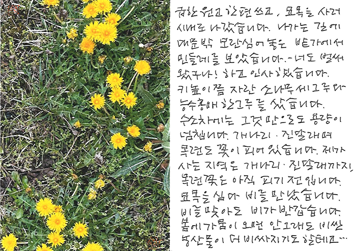 - 비를 맞아도 비가 반가워...