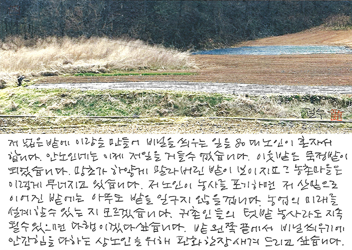 - 큰밭에서 혼자 일하는 상노인...