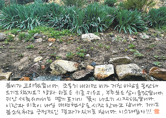 - 봄비가 고마웠습니다.