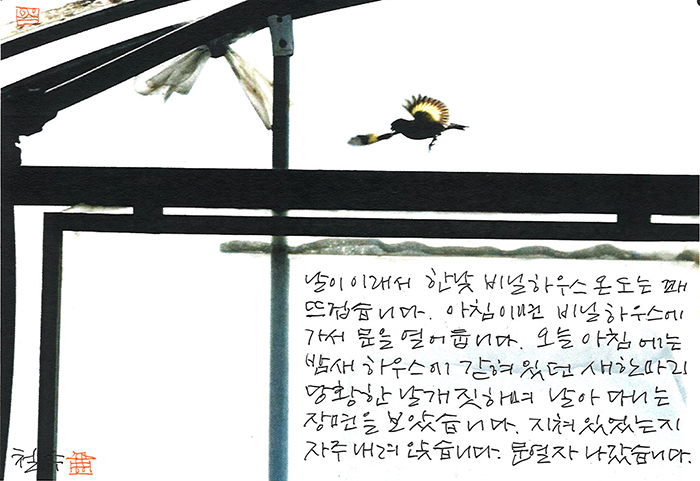 - 갇혀 있던 새 한 마리...