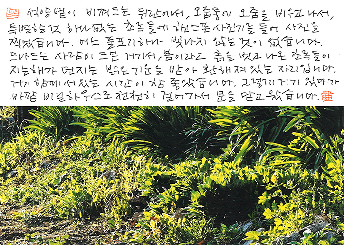 - 어느 풀포기 하나 ...