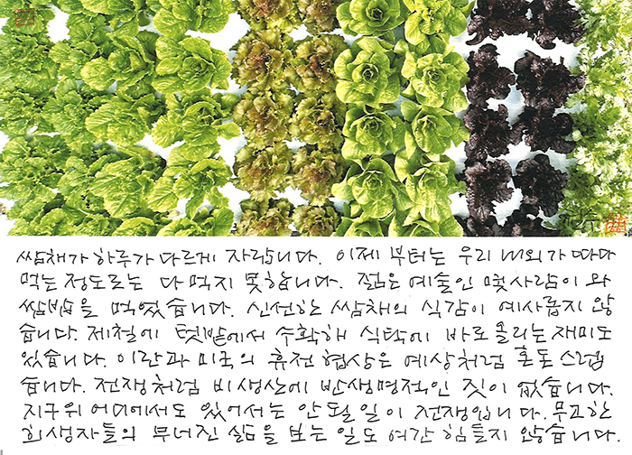 - 비생산적이고 반생명적인 짓 ...