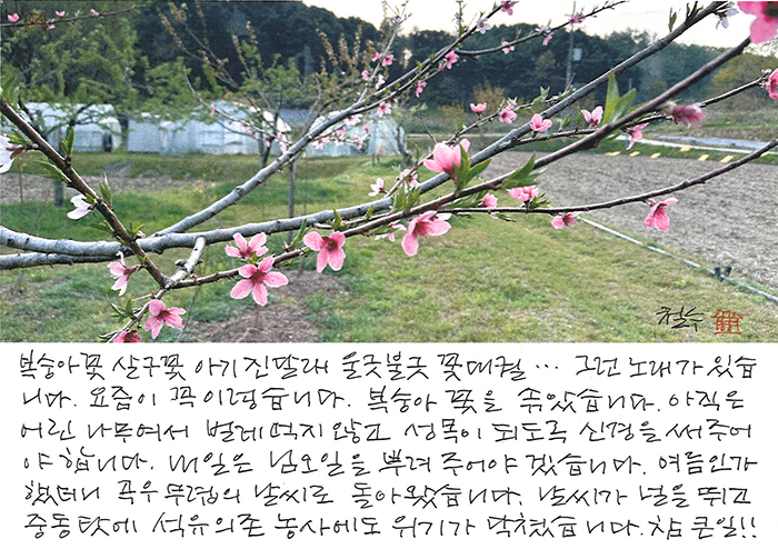 - 나의 살던 고향은...