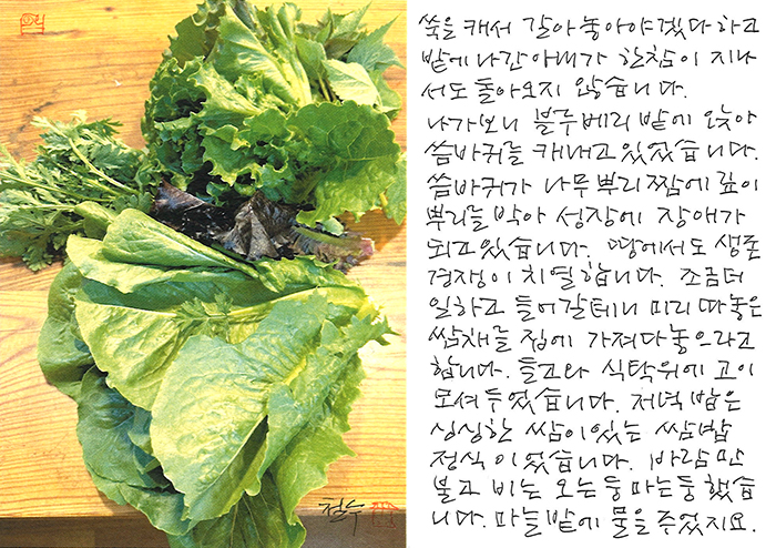 - 비는 오는 둥 마는 둥...