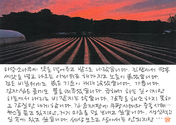 - 생산적인 일 속에...