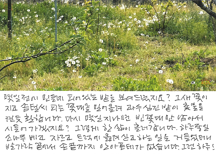 - 그렇게 한 삶이 흘러 갑니다.