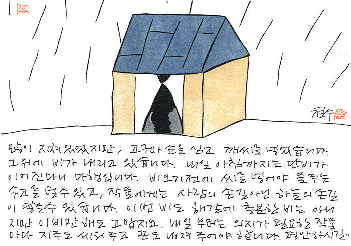 - 그 위에 비가 내리고...
