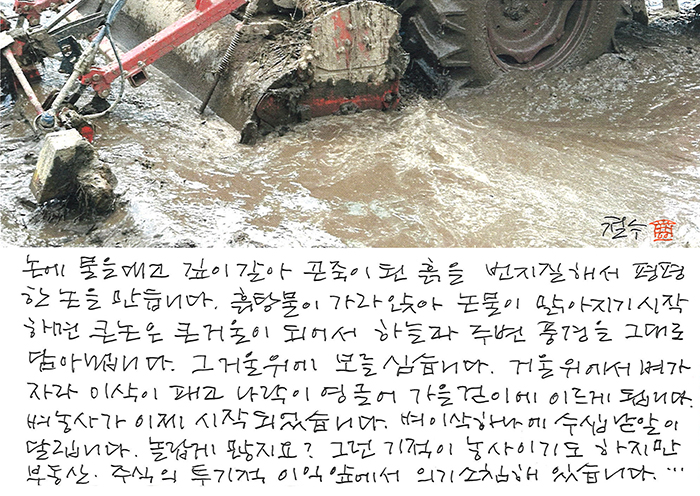 - 이삭 하나에 수십 낟알이...