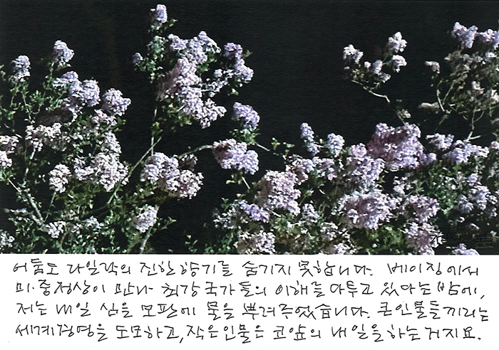 - 어둠도 라일락 향기를...