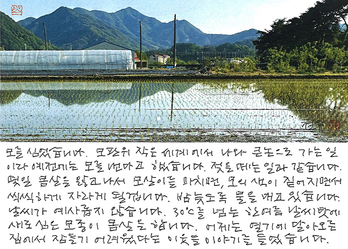 - 작은 세계에서 나와 큰 논으로...