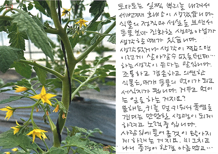 - 식물의 정직과 성실을...