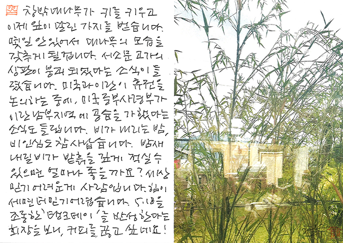 - 세상 못 믿을 게 사람...