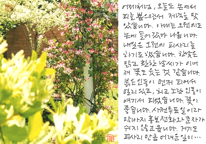 - 어제 처럼, 오늘도 논에서...