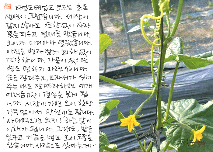 - '사다 먹으면 되지!' 하는 말이...