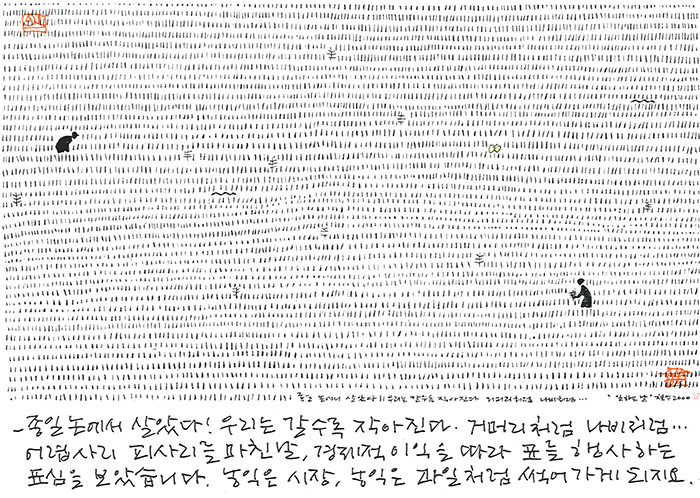 - 농익은 시장, 농익은 과일 처럼...