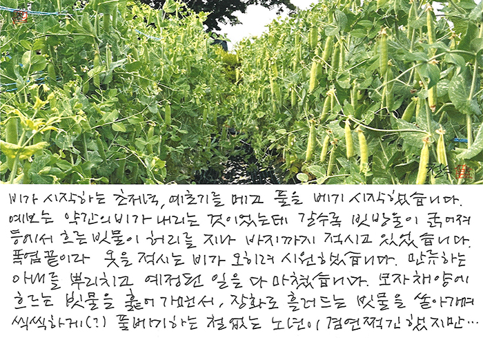 - 철없는 노년이 겸연쩍긴 했지만...