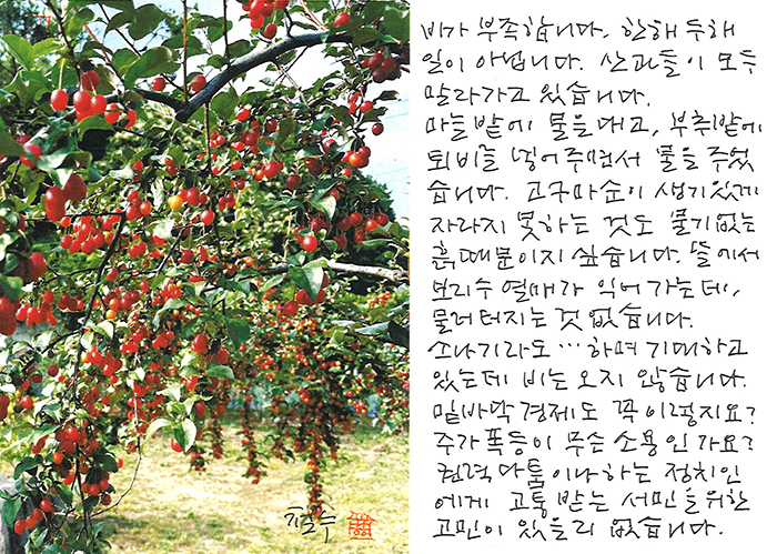 - 비가 부족합니다.
