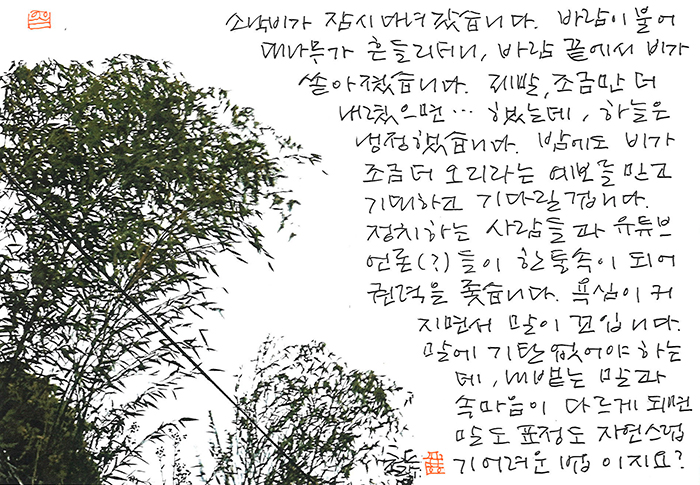 - 소나기가 잠시 다녀가고 ...