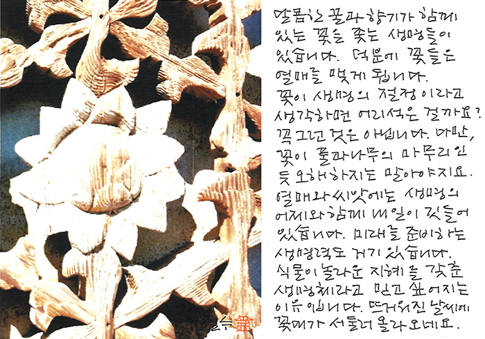 - 열매와 씨앗에는 내일과 미래가...