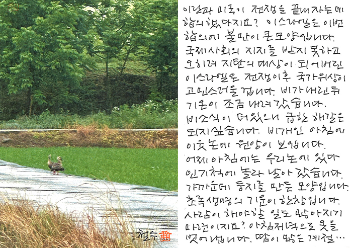 - 초록 생명의 기운이 한창...