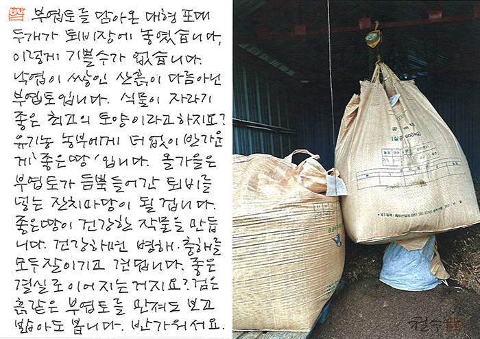 - 만져도 보고 밟아도 보고...