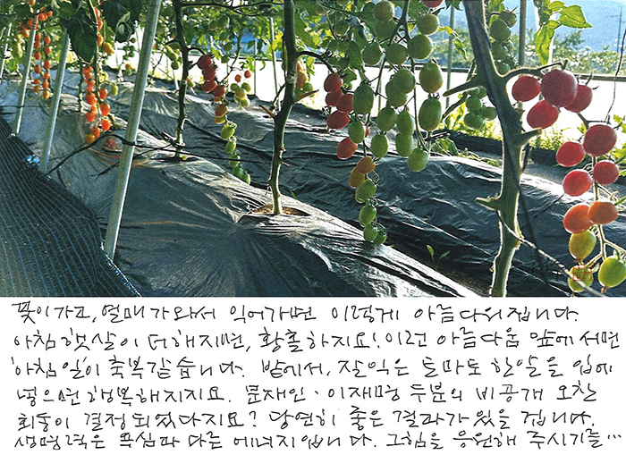 - 생명력은 욕심과 다른 에너지...