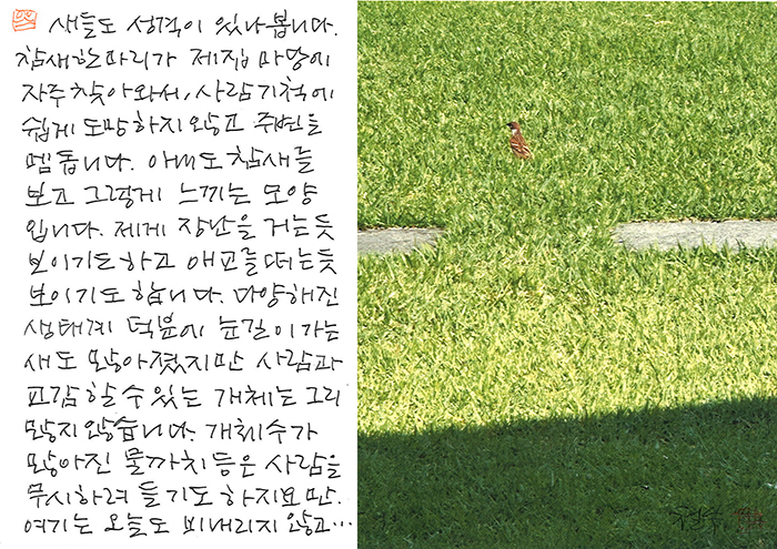 - 새들도 성격이 있나...