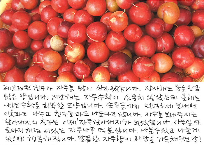 - 달콤한 자두향이 마당을 가득...