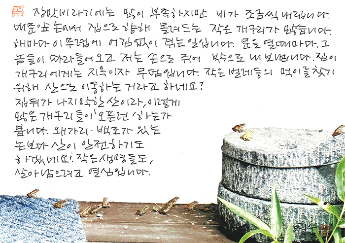 - 개구리들이 '오픈 런'하는...