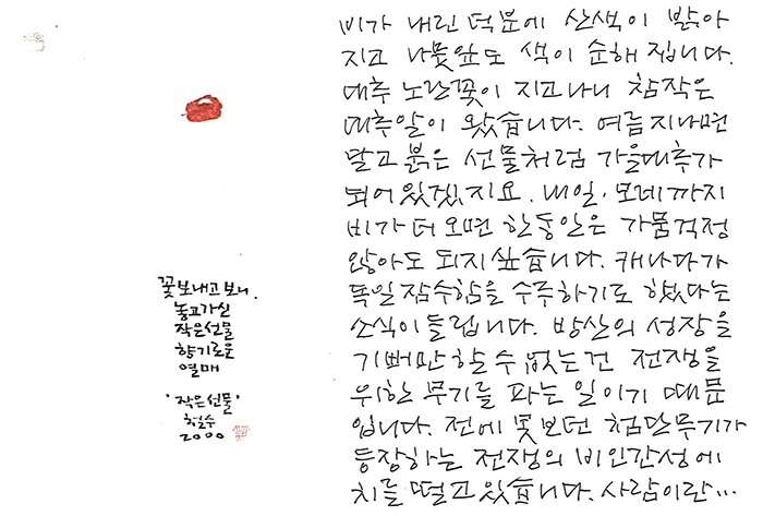 - 한 사흘 비가 내린 덕분에...