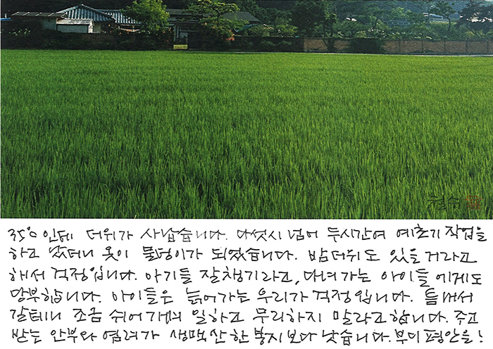 - 더위가 사납습니다.